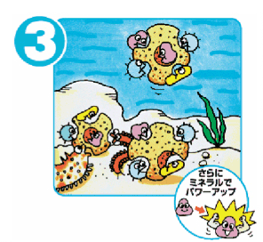 イメージ4