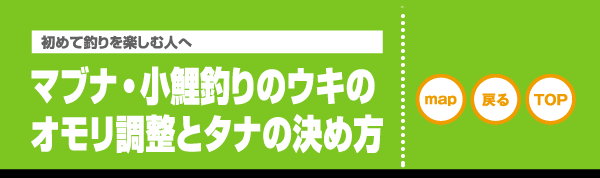 マブナ 小鯉 ウキとオモリ