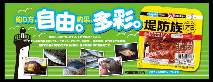 海のくわせ　堤防族