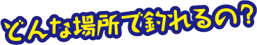 どんな場所で釣れるの？