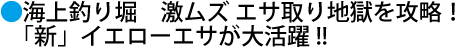 海上釣り堀　激ムズ エサ取り地獄を攻略！「新」イエローエサが大活躍!!