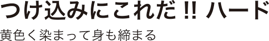 つけ込みにこれだ!! ハード