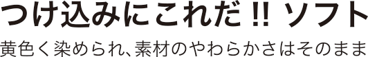 つけ込みにこれだ!! ソフト