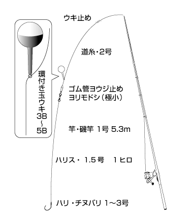 山本太郎の 紀州釣り