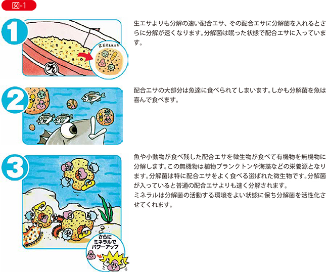 「分解菌とミネラル」の働き