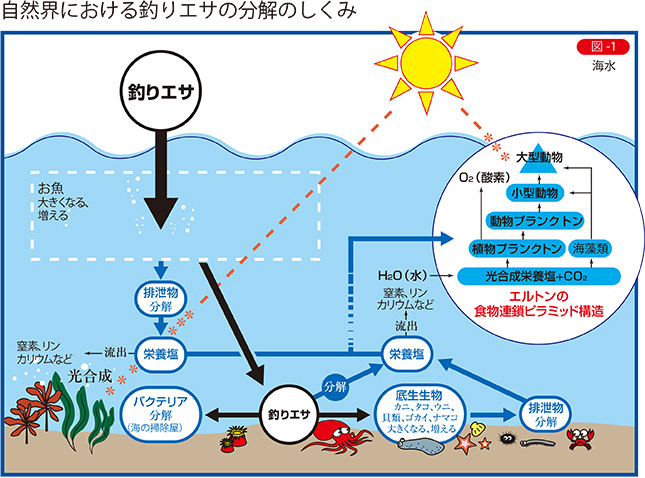 自然界における釣りエサの分解のしくみ